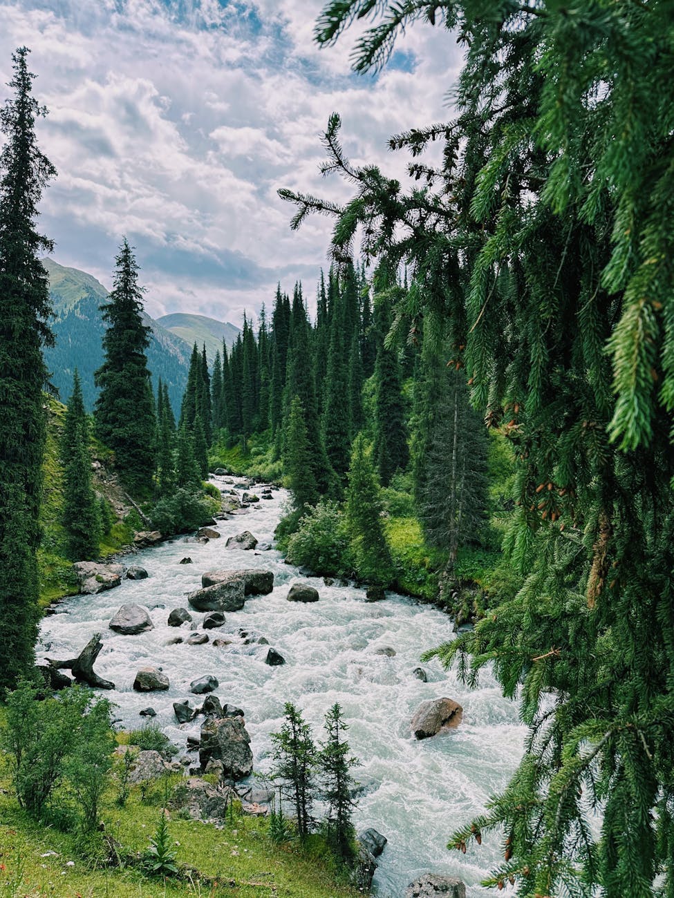 Eco-Friendly Choices: How to Heal Our Planet