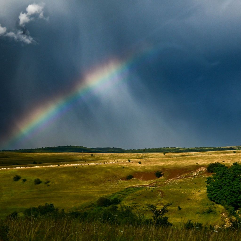What Broken Rainbows Symbolize: A Deeper Look